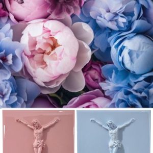 Devotion – Set of 2 BC COLOURS